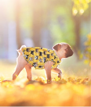 Cute And Creative Pet Print Cooling T-shirt